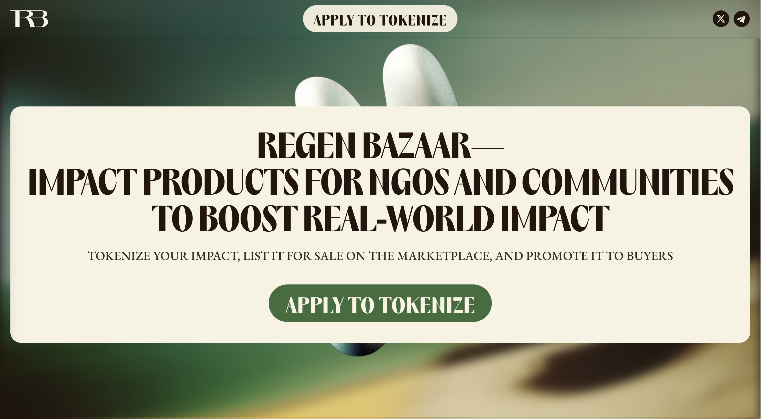 Regen Bazaar website preview